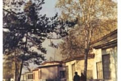 Нижний Тагил. Вид на элитные дома поселка Пихтовые горы в 1960-е гг.