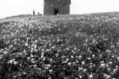 Нижний Тагил. Башня на Лисьей горе 1984 год.