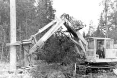 Лесозаготовка в 1970-е годы.