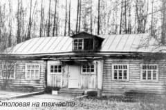 Нижний Тагил, Фото 1930 -1940 гг, посёлок Старатель, Из архива ФКП НТИИМ.