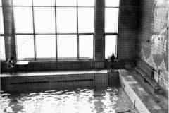 Нижний Тагил Бассейн "Дельфин" стадиона "Строитель". Фото Т.А. Кропачевой, 1975 год  Принят в эксплуатацию 28 сентября 1973 года. Бассейн на 6 дорожек с полезной площадью 1301 м.
