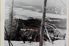Вид с горы Белой. Фото из альбома по истории развития лыжного спорта в Н. Тагиле с 1926 года. Архив "Нижнетагильский музей-заповедник "Горнозаводской Урал"