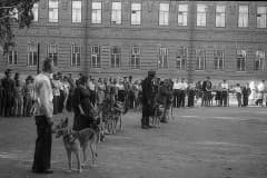 Нижний Тагил. Во дворе техникума часто проходили выставки собак. Первая выставка служебных собак прошла в городе в 1930 году.